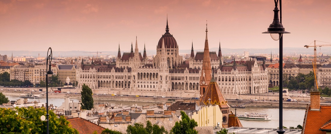Pest in Budapest by Kate Kasiutich