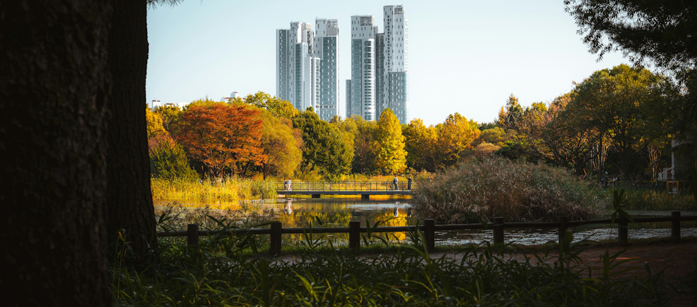 View from Seoul Forest by Tobias Reich on Unsplash