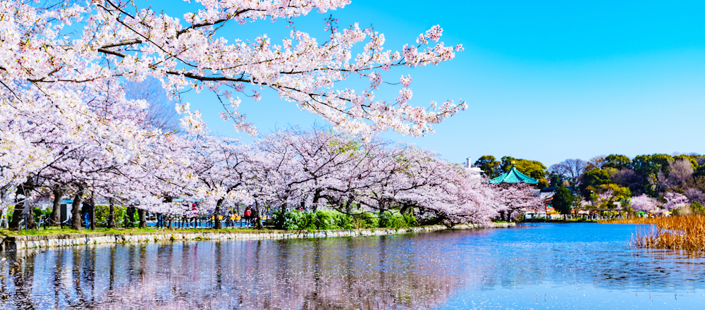 Ueno Park, Tokyo