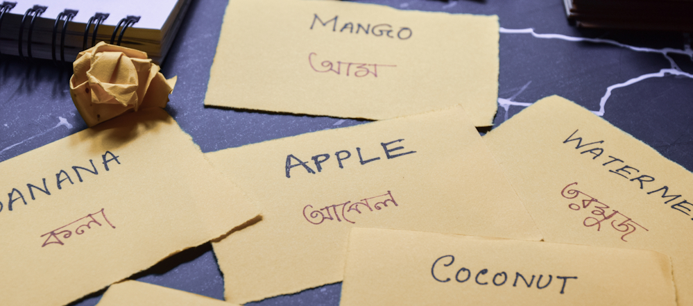 Bengali language learning cards