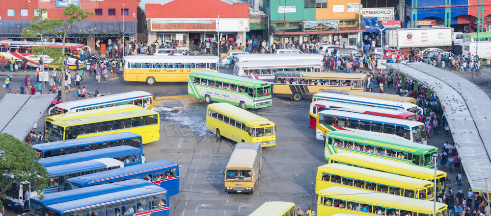 Fiji buses