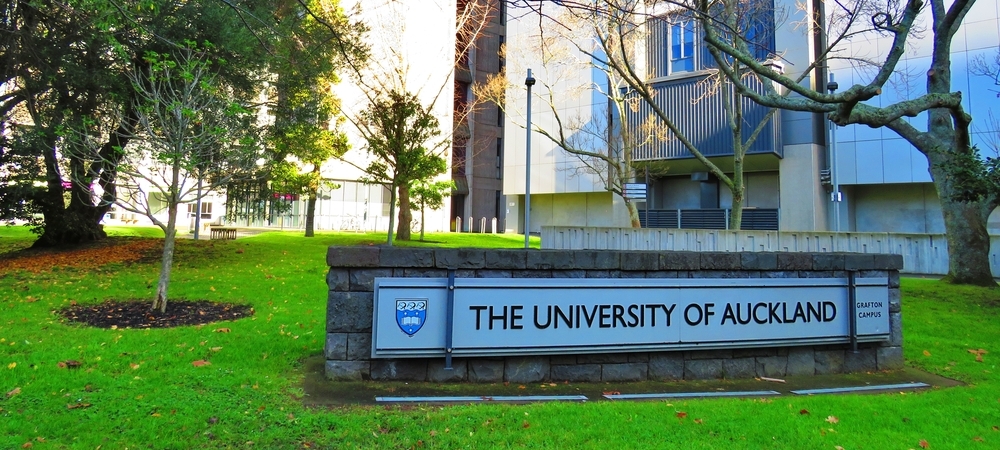 Finding a school in New Zealand