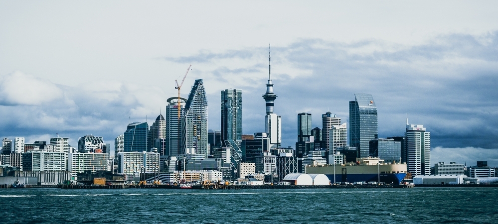 Working in New Zealand