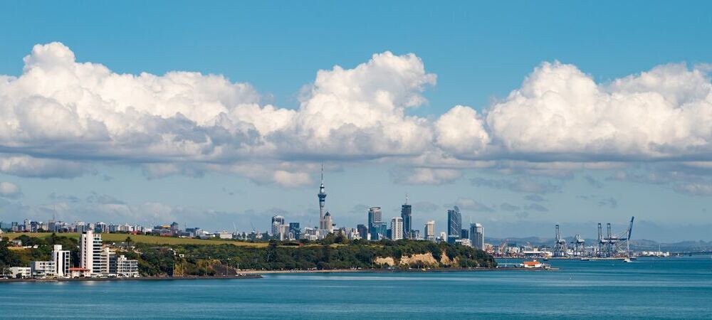 Job market in New Zealand